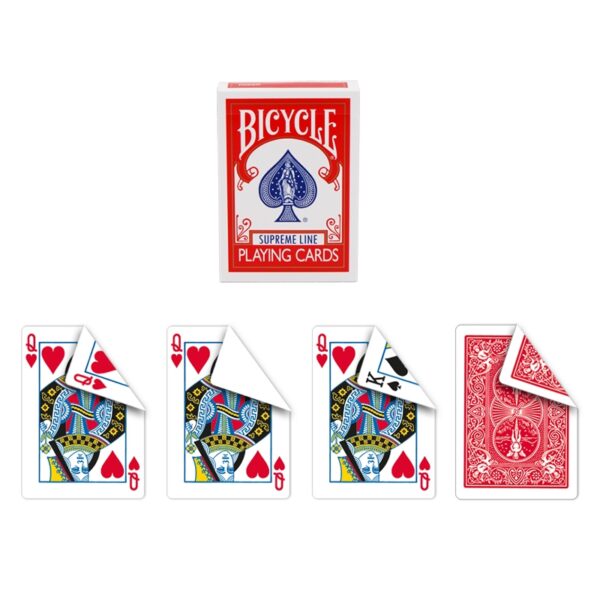 BICYSQH_2.jpg