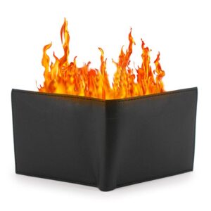 Portafoglio in Fiamme - Professional - immagine 2