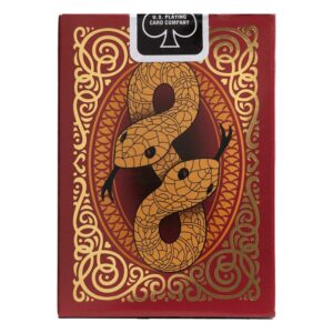 Bicycle Snake - immagine 2