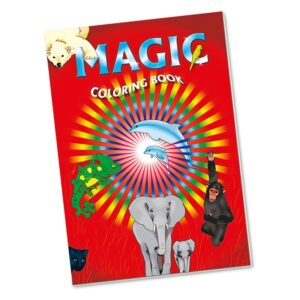 Il libro incantato - Grande
