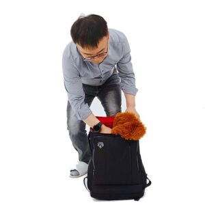 Appearing Teddy Bear - Large size - immagine 3