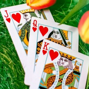 Butterfly Seasons Playing Cards - Spring  (marked) - immagine 4