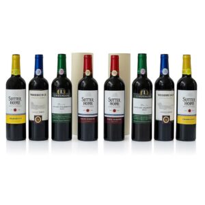 Multiplying Bottles Colorful (8 bottles) by Tora Magic