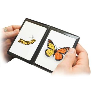 CaterFly by Magical Project - immagine 3